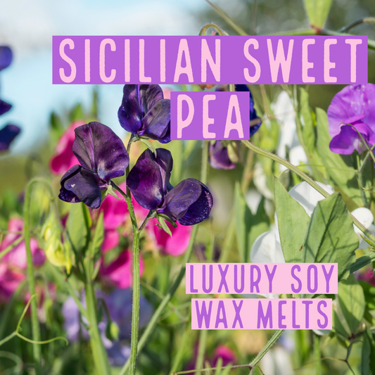 Sicilian Sweet Pea - Wax Melts