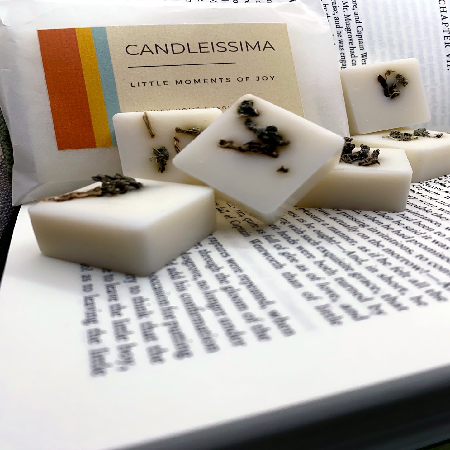 La Vecchia Libreria - Wax Melts